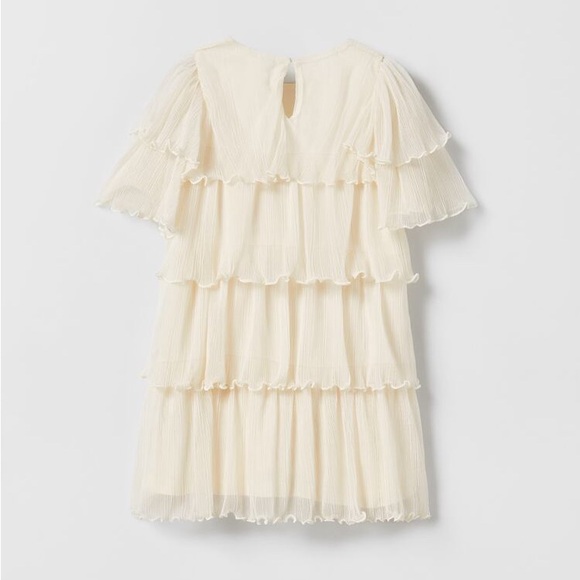 Zara Ruffled Tulle Dress - Picture 8 of 9